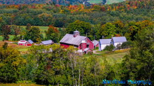 Bogie-Mountain-Farm-Barnet-Vermont-9-18-2020-15