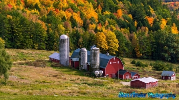 Hillside-Acres-Farm-Barnet-Vermont-October-4-2022-26