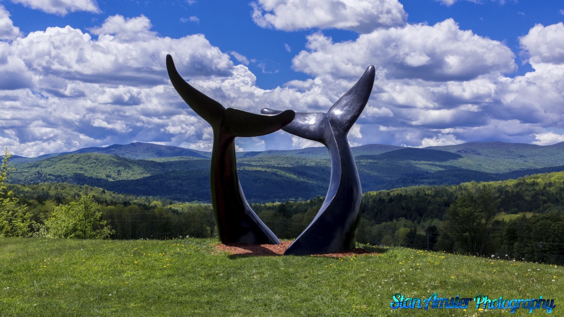 Whales-Dance-Randolph-Vermont-5-26-2025-7