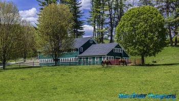 1_Woodstock-Vermont-5-15-2021-14