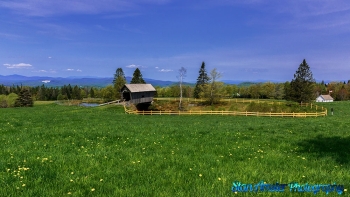 Foster-Covered-Bridge-Cabot-Vermont-5-19-2023-5-Edit-Edit