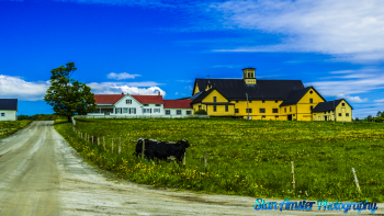 Montpelier-Farms-5-27-2017-144