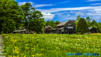Montpelier-Farms-5-27-2017-148