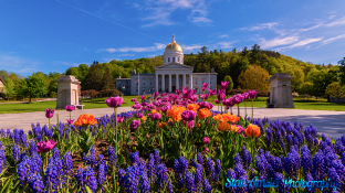 Montpelier-Vermont-State-House-5-24-2020-5-Edit-Edit