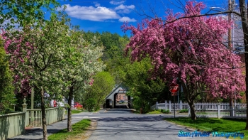 SVT-May-2024-Woodstock-Vermont-5-15-2021-29-Edit
