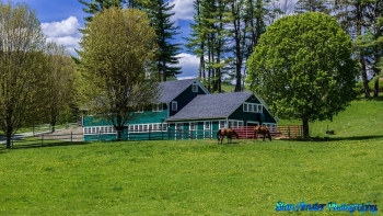 Woodstock-Vermont-5-15-2021-14