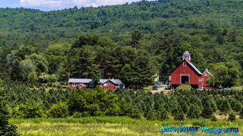Blow-Me-Down-Mill-6-17-2016-141