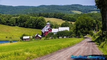Bogie-Mountain-Farm-6-24-2021-18