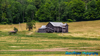 East-Peacham-Vermont-6-20-2020-7