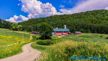 Hillside-Acres-Farm-West-Barnet-Vermont-6-21-2020-5-Edit