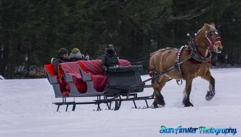 Stowe-Vermont-1-15-2021-20