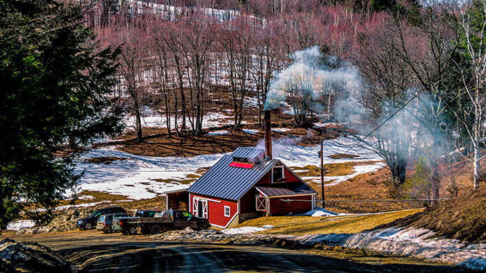 Spring Photographs 2