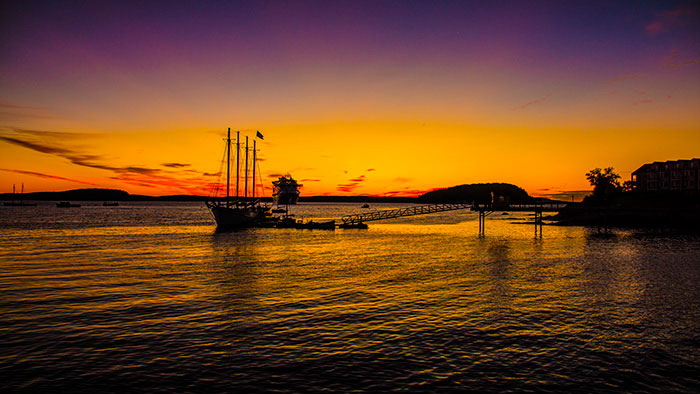 Summer Photographs 1