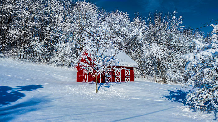 Winter Photographs 2